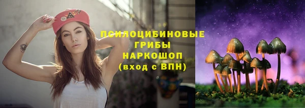 спиды Абдулино