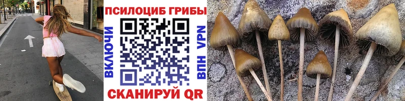 Псилоцибиновые грибы прущие грибы  Урень 