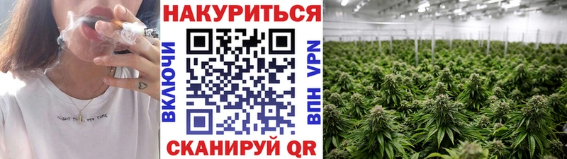 Шишки марихуана планчик Урень